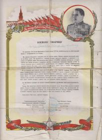 Благодарственное письмо
