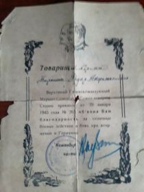 Благодарность за отличные боевые действия в боях при вторжении в Германию
