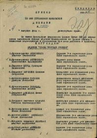Приказ по 260 Краснознаменной Ковельской стрелковой  дивизии № 01231н от 04 августа 1944 года (наградной лист)