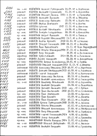 Список погибших