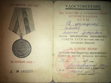 За уча тик в героическом штурме и взятии Вены