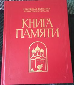 КНИГА ПАМЯТИ, Российская Федерация, Новгородская область, г. Боровичи и Боровичский район, 1995