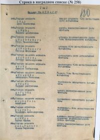 Строка в наградном списке (номер 258) медали «За Отвагу»