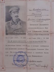 Благодарственное письмо Верховного Главнокомандующего Маршала Советского Союза товарища Сталина