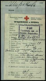 29.01.1915г.