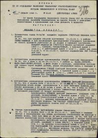 Медаль «За боевые заслуги»  Наградной документ Дата рождения: __.__.1901 Дата поступления на службу: __.__.1941 Место призыва: Борский РВК, Куйбышевская обл., Борский р-н Воинское звание: кра