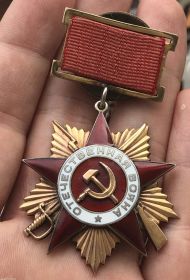 Орден Отечественной войны I степени  Документ в юбилейной картотеке Дата рождения: __.__.1903 Место рождения: Куйбышевская обл., Борский р-н, с. Коноваловка Наименование награды: Орден Отечес