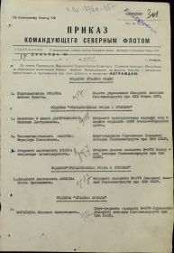 Приказ командующего северным флотом