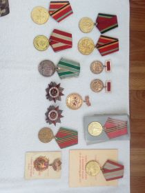 юбилейные медали и награды
