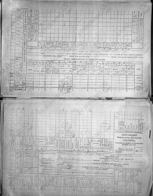 Сельскохозяйственная перепись 1917 года (хозяин - отец Дмитрия )