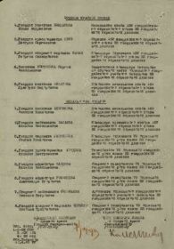 Фронтовой приказ №: 201 от 13.04.1943 г. Издан: ВС 1 УА Северо-Западного фронта