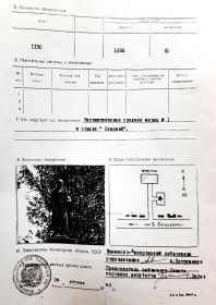 Схема захоронения