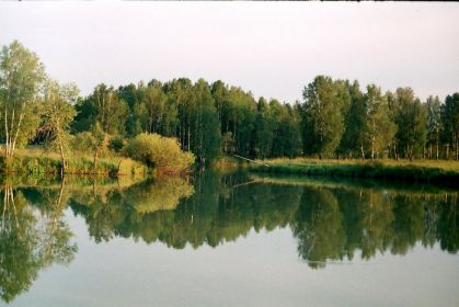 Пруд у д.Робчуки. Тюменская область.