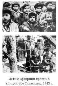Дети с "фабрики крови" в концлагере Саласпилс, 1943 г. (фото-документ)