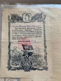 Благодарность