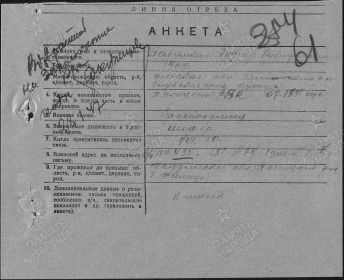 Анкета