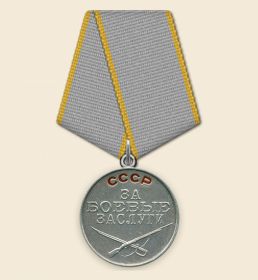 две медали «За отвагу»