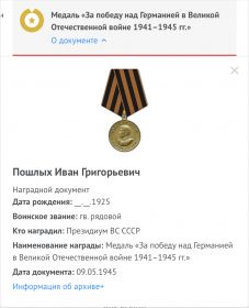 Медаль «За победу над Германией в Великой Отечественной Войне 1941-1945 г.г.»