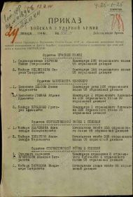 Строка в наградном списке на награждение орденом "АЛЕКСАНДРА НЕВСКОГО".