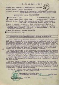 Наградной лист на орден "КРАСНОГО ЗНАМЕНИ".