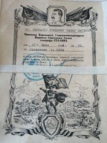 Благодарность за овладение г. Орша