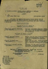 Приказ от 18.07.1945 № 010/Н (О награждении Гагонина Ю.М. медалью "За боевые заслуги")