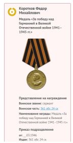 Медаль За победу над Германией в Великой Отечественной войне 1941-1945гг