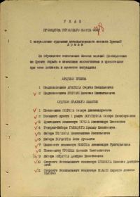 Строка в наградном списке на награждение орденом "КРАСНОГО ЗНАМЕНИ".