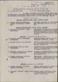 Орден Славы III степени. Наградной список. Оригинал документа: Центральный архив МИНОБ РФ, Фонд: 33, Опись: 686196, Ящик/дело: 2341