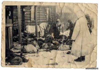 Фотография погибших бойцов 204 ВДБР у дер. Игожево, Демянский котёл (из немецкого архива)