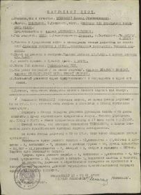 Наградной лист на орден "АЛЕКСАНДРА НЕВСКОГО".