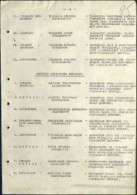 Строка в наградном списке на награждение орденом "АЛЕКСАНДРА НЕВСКОГО".