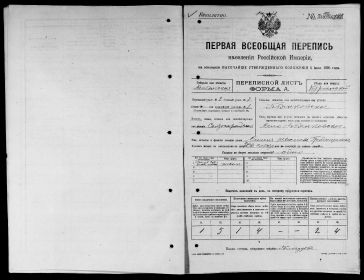 Семья Таисии Семеновны в Переписи населения 1897 года