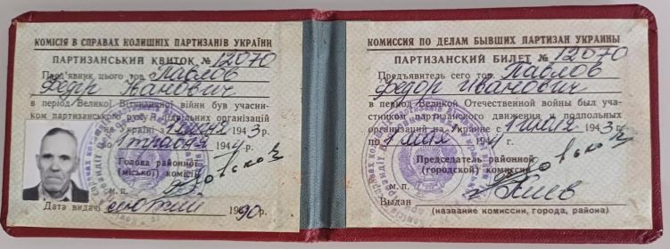Партизанский билет
