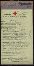 Первая мировая война. Тимер-Гали сын Махмута, 1893 гр, лазарет №20 г. Симбирск