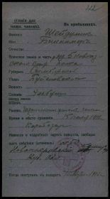 Первая мировая война. Шейдуллин Биктимер 1891 гр