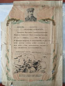 грамота "За прорыв обороны и вступление в г.Берлин"
