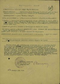 Федин Сергей Федорович Орден Красной Звезды