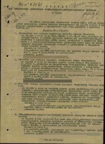 Приказ от 22.11.1943 г по 873 ипап