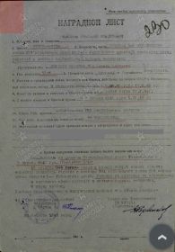 Наградной лист