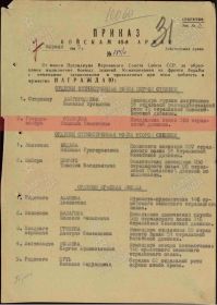Приказ Войскам 48-армии (7.04.1945г №784/н)  Наградить Орденом "Отечественная Война Первой степени"
