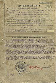 Орден Отечественной Войны 1 ст.