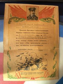 Благодарность за отличные боевые действия за города Штаргард, Наугар и Польцин