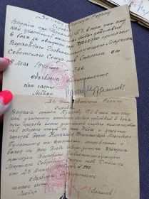 Справка об объявлении благодарности