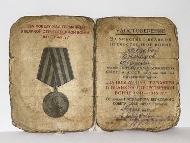 К медали "За победу над Германией"