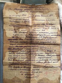 Боевая характеристики