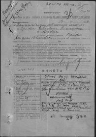 Анкета пропавшего без вести