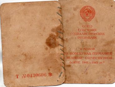 За победу над Германией