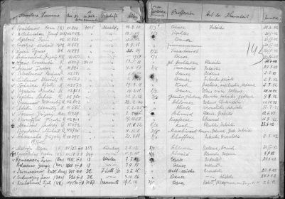 Журнал учета больных в резервном госпитале Ноймаркта. Столяренко Георгий (Stolarenko Georgij). На Памяти народа - Столяренко  Георгий