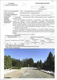 Паспорт воинского захоронения стр 1
